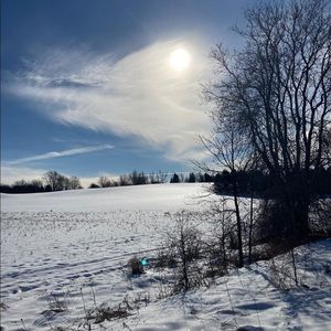 Meet your Posher, Penny